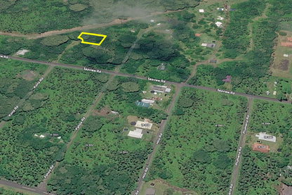 0.25 Acre Pāhoa, Hawaii County, HI (Power)