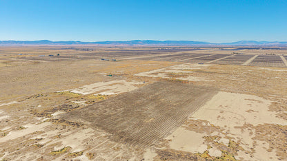 5 Acres Rosamond, Kern County, CA