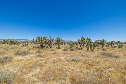 39.24 Acres Lancaster, Los Angeles County, CA