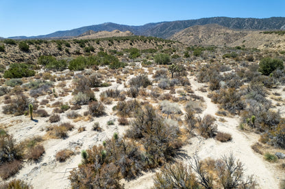 10 Acres Llano, Los Angeles County, CA (Power)