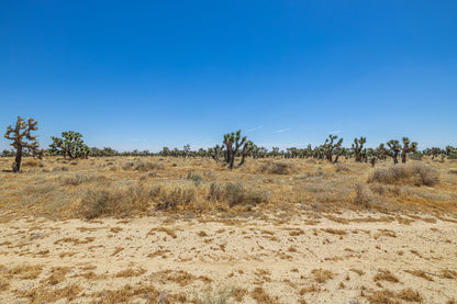 39.24 Acres Lancaster, Los Angeles County, CA
