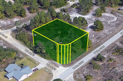 0.29 Acre Lehigh Acres, Lee County, FL (Power & Paved Road)