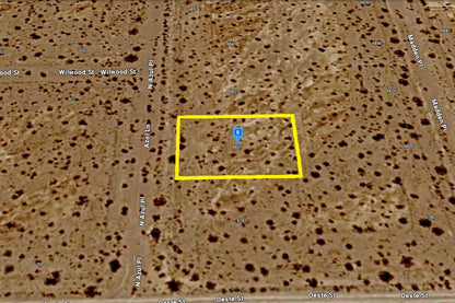 0.2020 Acre Pahrump, Nye County, NV