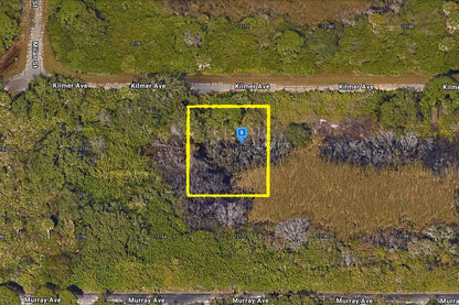 0.23 Acre Port Charlotte, Charlotte County, FL (Paved Road)