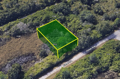 0.23 Acre Port Charlotte, Charlotte County, FL (Paved Road)