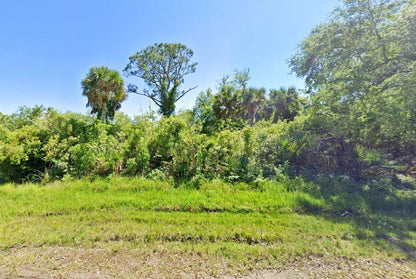 0.23 Acre Port Charlotte, Charlotte County, FL (Paved Road)