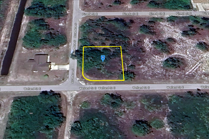 0.29 Acre Lehigh Acres, Lee County, FL (Power & Paved Road)