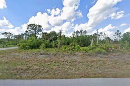 0.29 Acre Lehigh Acres, Lee County, FL (Power & Paved Road)