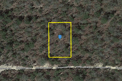 0.23 Acre DeFuniak Springs, Walton County, FL