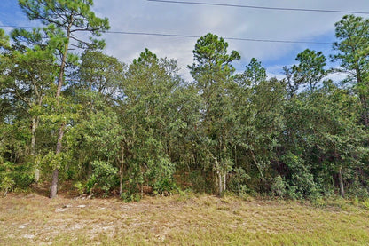 0.24 Acre Bronson, Levy County, FL (Power & Paved Road)