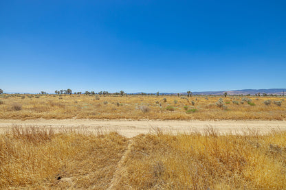 39.24 Acres Lancaster, Los Angeles County, CA