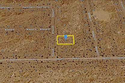0.2020 Acre Pahrump, Nye County, NV