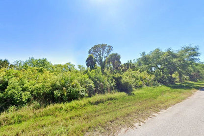 0.23 Acre Port Charlotte, Charlotte County, FL (Paved Road)