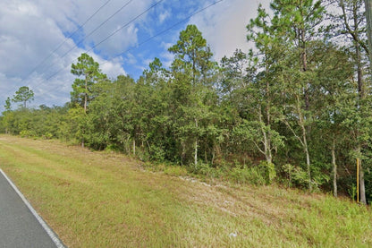 0.24 Acre Bronson, Levy County, FL (Power & Paved Road)