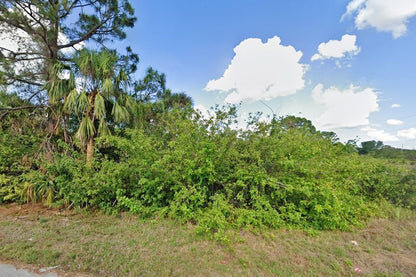 0.29 Acre Lehigh Acres, Lee County, FL (Power & Paved Road)
