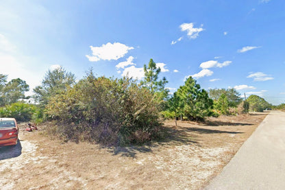 0.25 Acre Lehigh Acres, Lee County, FL (Power & Paved Road)