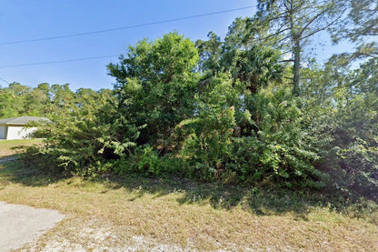 0.25 Acre Lehigh Acres, Lee County, FL (Power & Paved Road)