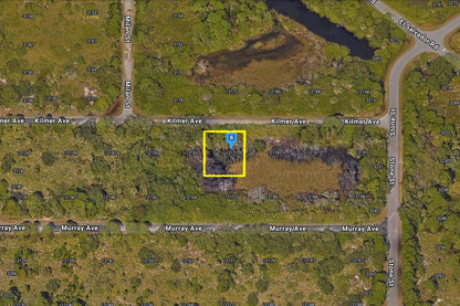 0.23 Acre Port Charlotte, Charlotte County, FL (Paved Road)
