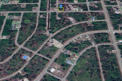 0.29 Acre Lehigh Acres, Lee County, FL (Power & Paved Road)