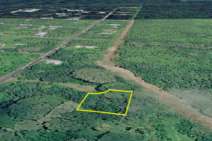 0.25 Acre Pāhoa, Hawaii County, HI (Power)