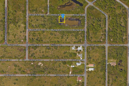 0.23 Acre Port Charlotte, Charlotte County, FL (Paved Road)