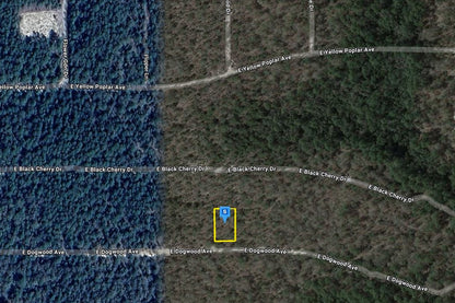 0.23 Acre DeFuniak Springs, Walton County, FL