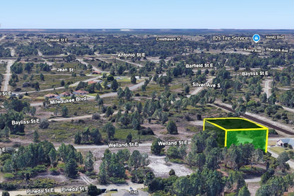 0.29 Acre Lehigh Acres, Lee County, FL (Power & Paved Road)