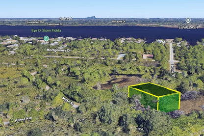 0.23 Acre Port Charlotte, Charlotte County, FL (Paved Road)