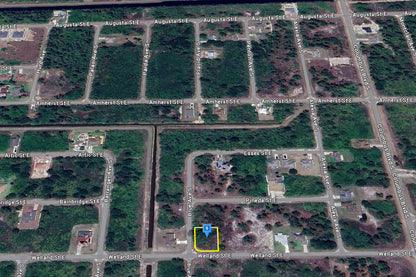 0.29 Acre Lehigh Acres, Lee County, FL (Power & Paved Road)