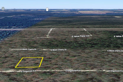 0.23 Acre DeFuniak Springs, Walton County, FL