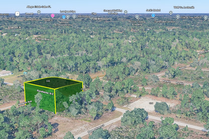 0.28 Acre Lehigh Acres, Lee County, FL (Power & Paved Road)