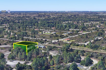 0.29 Acre Lehigh Acres, Lee County, FL (Power & Paved Road)