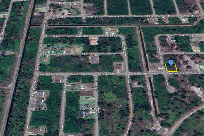 0.29 Acre Lehigh Acres, Lee County, FL (Power & Paved Road)