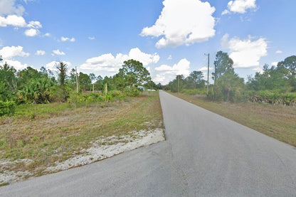 0.29 Acre Lehigh Acres, Lee County, FL (Power & Paved Road)