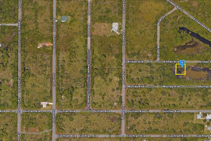 0.23 Acre Port Charlotte, Charlotte County, FL (Paved Road)