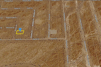 0.2020 Acre Pahrump, Nye County, NV