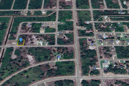 0.29 Acre Lehigh Acres, Lee County, FL (Power & Paved Road)