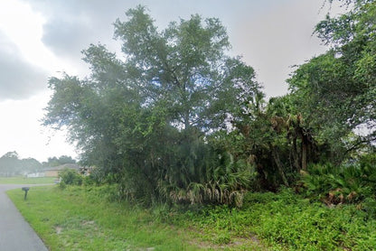 0.24 Acre North Port, Sarasota County, FL (Power & Paved Road)