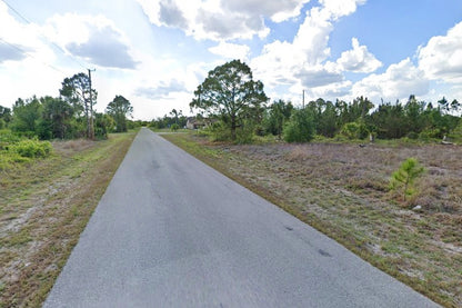 0.29 Acre Lehigh Acres, Lee County, FL (Power & Paved Road)