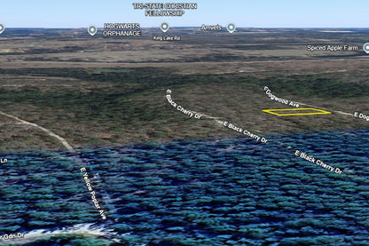 0.23 Acre DeFuniak Springs, Walton County, FL