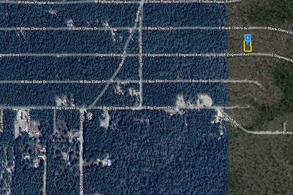 0.23 Acre DeFuniak Springs, Walton County, FL