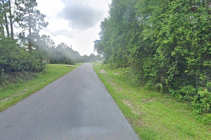 0.24 Acre North Port, Sarasota County, FL (Power & Paved Road)