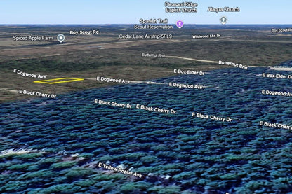 0.23 Acre DeFuniak Springs, Walton County, FL