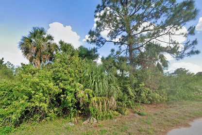 0.29 Acre Lehigh Acres, Lee County, FL (Power & Paved Road)