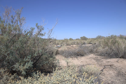 0.15 Acre Mohave Valley, Mohave County, AZ