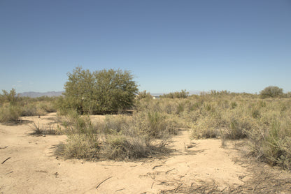 0.32 Acre Mohave Valley, Mohave County, AZ