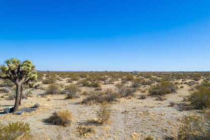 7.50 Acres Pearblossom, Los Angeles County, CA
