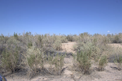 0.15 Acre Mohave Valley, Mohave County, AZ