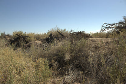 0.15 Acre Mohave Valley, Mohave County, AZ
