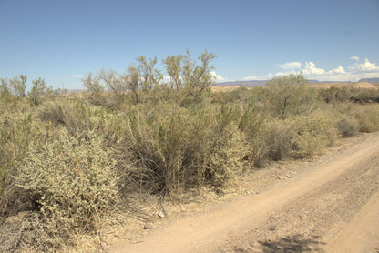 0.15 Acre Mohave Valley, Mohave County, AZ